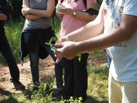 Estada de plantes remeieres, explicacions